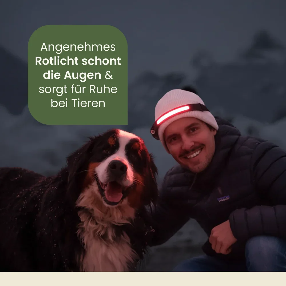 Vorschaubild 4