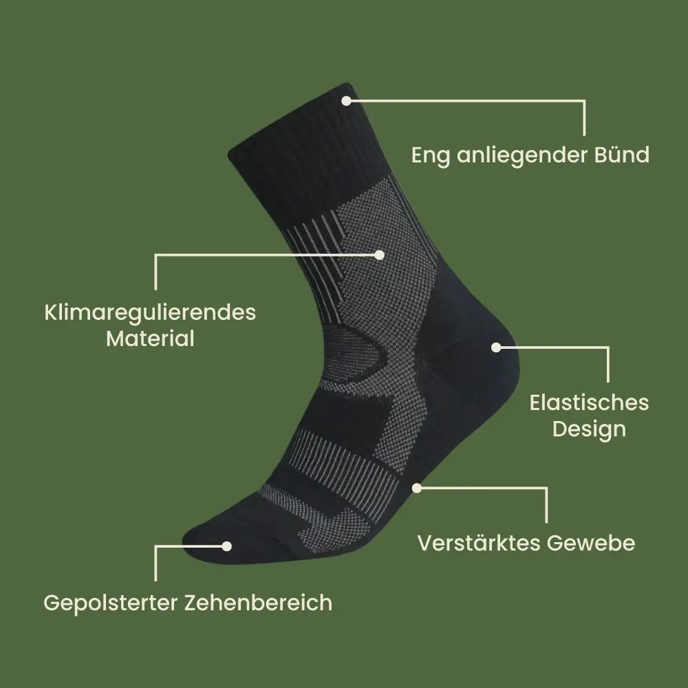 Vorschaubild 8
