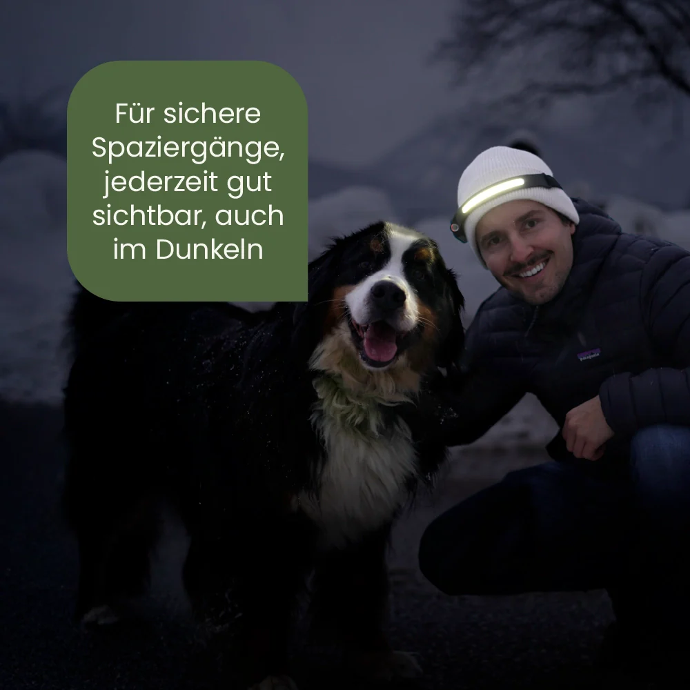 Vorschaubild 5
