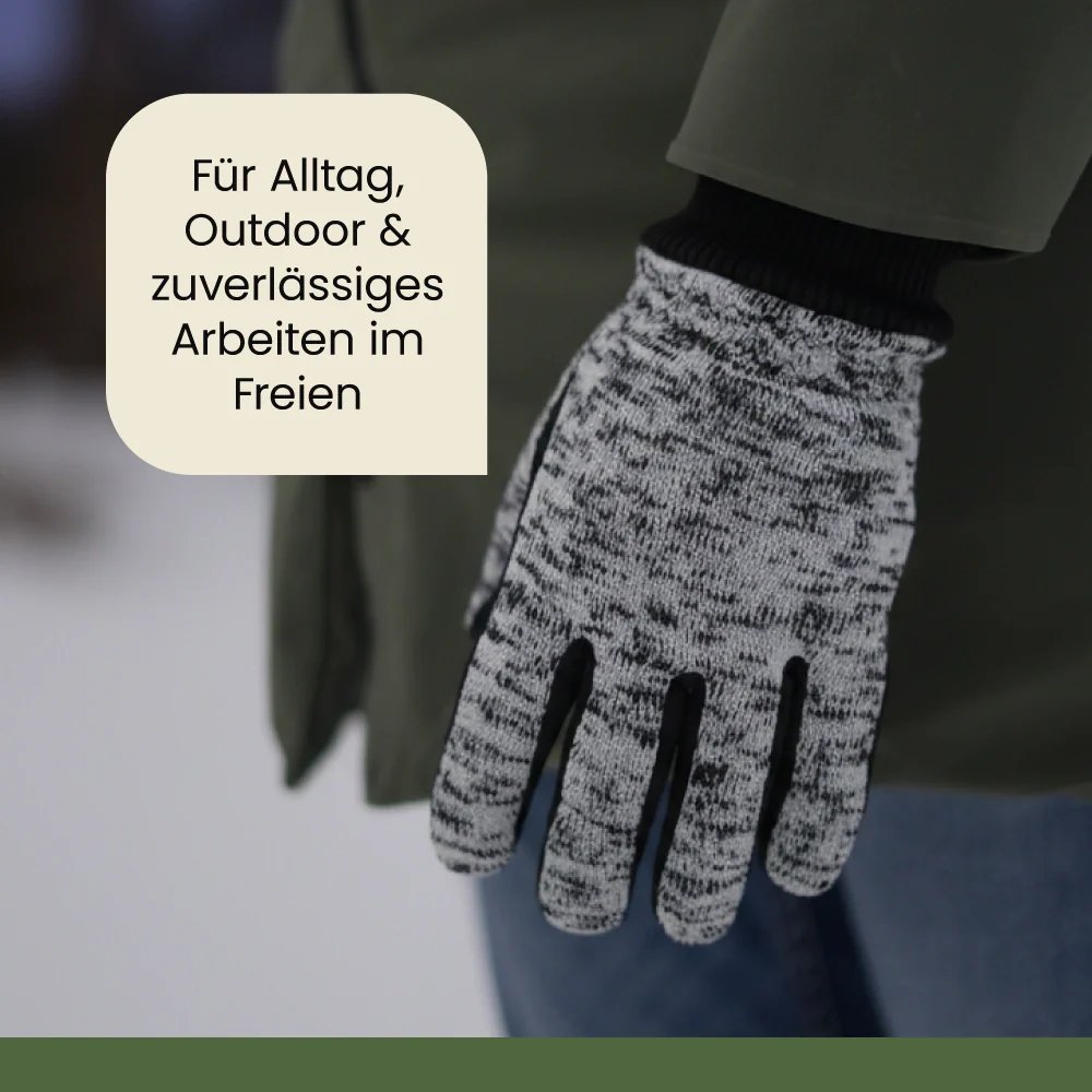 Vorschaubild 5